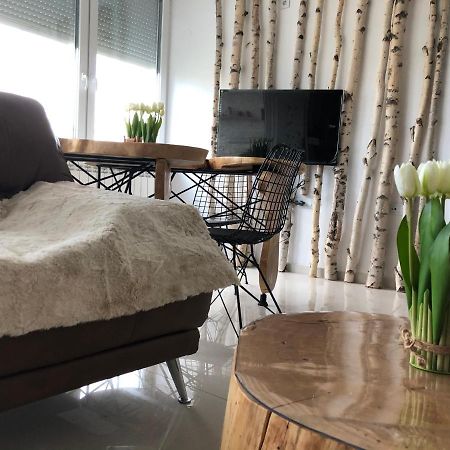 Artistic Luxury Daire Üsküp Dış mekan fotoğraf
